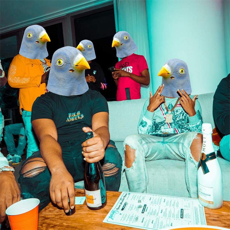 Duivenmasker kostuum nieuwighe - Skincare Pigeon recensie en prijs